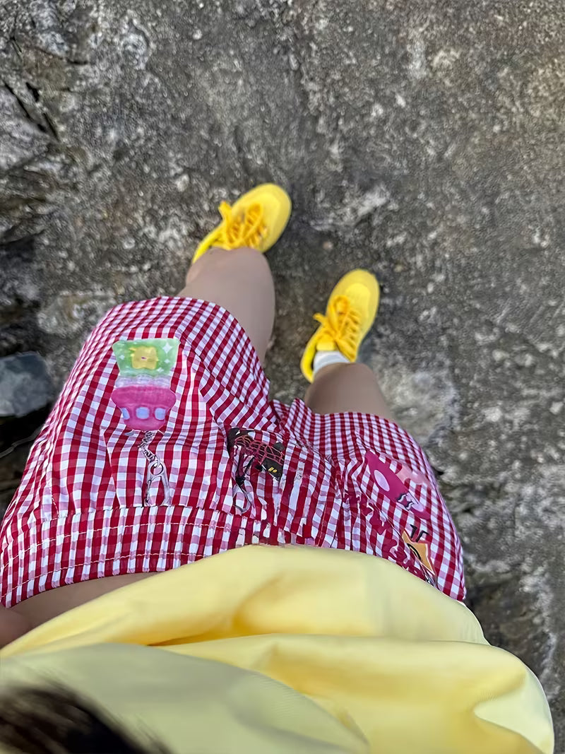 Women'S Summer Dopamine Creative Printed Plaid Shorts, Casual All-Match Beach Pants, Street Style Y2K Women'S Shorts